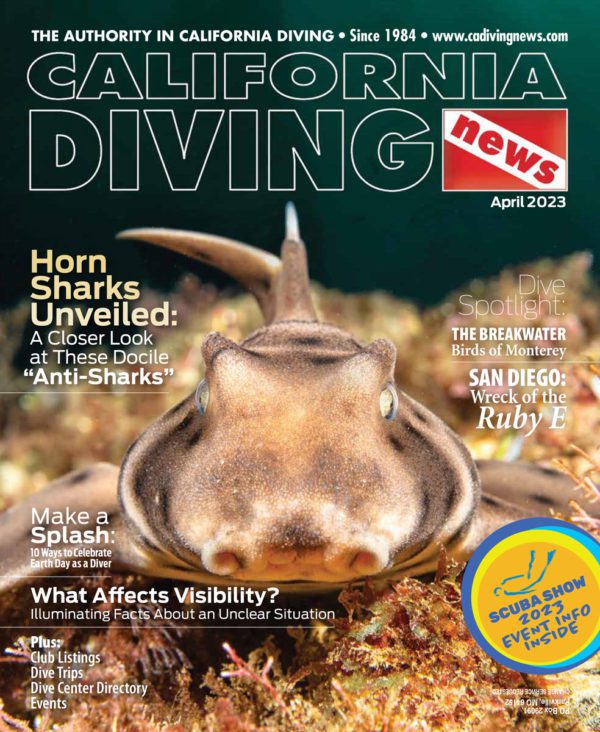 This image portrays California Diving News Subscription by Scuba Show | May 31 & June 1, 2025.