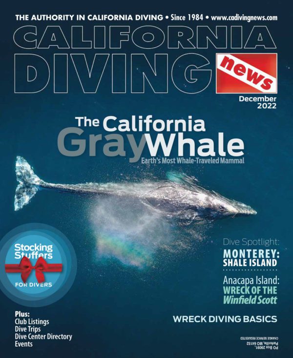 This image portrays California Diving News Subscription by Scuba Show | May 31 & June 1, 2025.