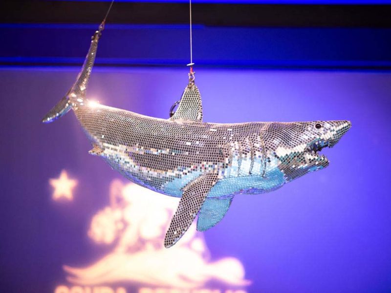 This image portrays DISCOSHARK TO PRESIDE OVER SCUBA SHOW 2024 by Scuba Show | May 31 & June 1, 2025.